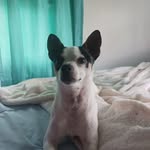 Tabitha Ann Bullins-Cobb - @tabithabullins - Instagram