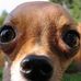 Tabitha Cohen - Facebook