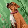 Tabatha Cole - @tabatha.cole1 - TikTok