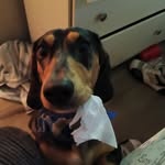 Tabitha Barton Collier - @tabby8813 - Instagram