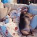 Tabatha Connor - Facebook
