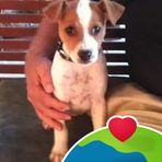 Tabatha Coombs Sidell - Facebook