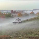 Tabatha Rowan Coombs - @coombs_country - Instagram