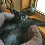 Tabatha Melia Crawford - @crawtab - Instagram