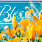 Tabitha Crawford - Facebook