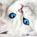 Tabatha Cronin - Facebook