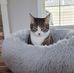 Tabatha Culver - Facebook