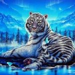Tabatha Drew - @tabathadrew - Instagram