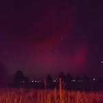 Tabitha Elliott - @tabitha.elliott.7106 - Instagram