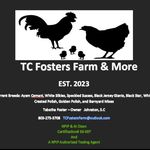 Tabatha Foster - @tcfostersfarm - Instagram