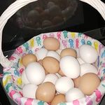 Tabatha Allene Gray - @chuzzle_bug - Instagram
