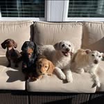 Tabatha Haynes Taylor - @tabtaylor70 - Instagram