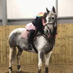 Tabitha Howard - @showjumping_tabi - Instagram