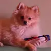 Tabatha Jackson - @tabatha.jackson22 - TikTok