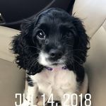 Tabatha Lambert - @tabathadlambert - Instagram