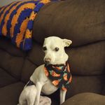 Tabitha Mason - @tlmason78 - Instagram