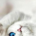 taBatha miranda  - Facebook