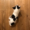 tabatha - @tabatha_1009 - TikTok