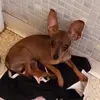 tabathaowens922 - @tabathaowens922 - TikTok