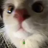 Tabatha Patton - @tabathapatton8147 - TikTok