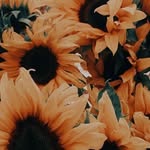 Tabatha peters - @peters_tabatha - Instagram