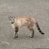 Tabitha Peters - @tabitha.peters - TikTok