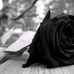 Tabatha Ramos Jr. - Facebook
