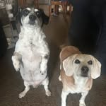 Tabatha Eubanks Raymer - @tabatharaymer - Instagram