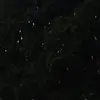 tab - @tabatharodriguez1706 - TikTok