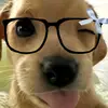 🌸Tabatha🌸 - @tabatha.rodriguez5 - TikTok