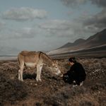 Tabitha Roth Photography - @tabitharoth_photography - Instagram