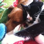 Tabatha Saunders - Facebook