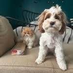Tabatha Savage - @tabby.1972 - Instagram