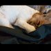 Tabitha Savage - Facebook