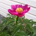 Tabatha Scott - Facebook