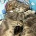 Tabatha Serrano - Facebook