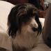 Tabatha Shea - Facebook