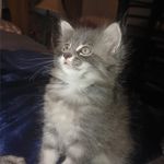 Tabitha Shelton - @tabithamshelton - Instagram