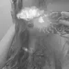 borderlinebutterfly - @tabithashoemaker - TikTok