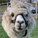 Tabatha Small - @sterling.small.94 - Instagram