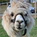 Tabatha Small - Facebook