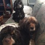 Tabatha Stubbs - @tabathastubbs - Instagram