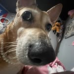 Tabatha Torres - @ananuki_ - Instagram