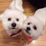 Tabitha Townsend Loomis - @tab_loomis - Instagram