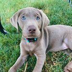 Tabatha Turner-Cary - @macymay516 - Instagram