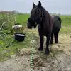 Tabatha Ward - @tabatha.ward7 - TikTok