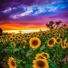 Tabitha H. Wilson - @tabithahwilson - TikTok
