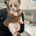 Tabbie Cat Smith - Facebook