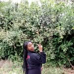 Tabbie Smith - @tabithandungu47 - Instagram