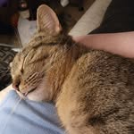 Tabbitha Dupler - @tabbycat6879 - Instagram